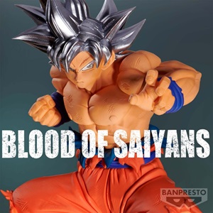 DRAGON BALL Z BLOOD OF SAIYANS SPECIAL XX SON GOKU