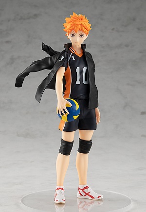 HAIKYU SHOYO HINATA PUP RERUN